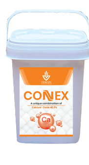 CONEX